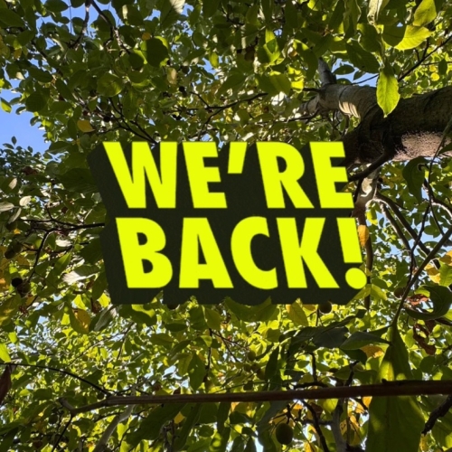 WE'RE BACK!